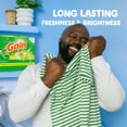 thumbnail image 3 of Gain Powder Laundry Detergent, Original Scent, 3.4 KG, 133 Wash Loads, 3 of 9