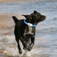 thumbnail image 3 of 3 Modes LED Dog Collar USB Rechargeable Cuttable Glowing Dog Necklace for Small Medium Large Dogs, 3 of 9