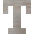 thumbnail image 1 of Wooden Block Letters, Unfinished 4'' Rockwell T, Craft, 1 of 1