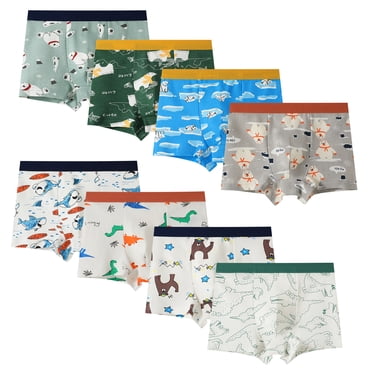 Hbhpov Boys Underpants Dinosaur Toddler Boxer Shorts Briefs Kids Soft Underwear, 8 Pack, Size 2-12