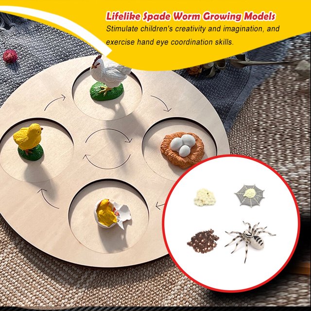 pitrice 1 Set Spade Worm Model Premium Plastic Material Meaningful Insect Figurines Early Educational Growing Models for School Project tarantula