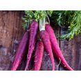 thumbnail image 3 of GSDWIUEW Purple Carrot Seeds for Planting Around 100 Seeds, 3 of 8