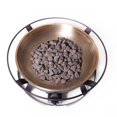 thumbnail image 3 of Camp Chef Del Rio Fire Pit, 3 of 3