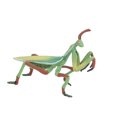 thumbnail image 3 of Insects Toy, Growth Cycle Insects Toy, Environmental Non-Toxic Safe Harmless Odorless Poatable for Education Playing Children Teaching Activities, 3 of 7