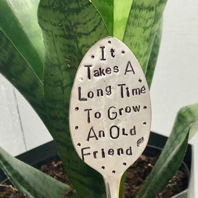 Birdeem Garden Potting Decorated with Wrought Iron Spoons