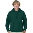 thumbnail image 1 of Hanes Mens ComfortBlend EcoSmart Pullover Hoodie Sweatshirt, M, Deep Forest, 1 of 2