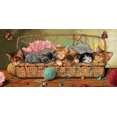 thumbnail image 3 of Gold Collection Kit de Broderie pour Litière de Chat-18"X9" 18 Unités, 3 of 3