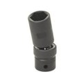 thumbnail image 1 of Grey Pneumatic 2036UD 0.5 in. Drive x 1.13 in. Deep Universal Socket, 1 of 1