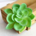 thumbnail image 3 of Artifical Plastic Succulent Plant Echeveria Flower Home Office Decor, 3 of 9