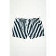thumbnail image 1 of THICKEMS Big Men’s Striped Seersucker Volley Swim Trunk, 1 of 1