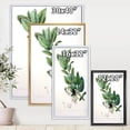 thumbnail image 4 of Designart Vintage Botanicals XX FLOAT FRAME WALL ART, 4 of 4