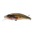 thumbnail image 1 of TIELUTT Swimming 3D Swimming Reusable Fishing Baitcaster Reels Left Handed Baitcaster Reels Baitcaster Rod and Reel Combo Baitcaster Rod and Reel Combo Right Handed compatible with Mach 2 Baitcaster C, 1 of 4
