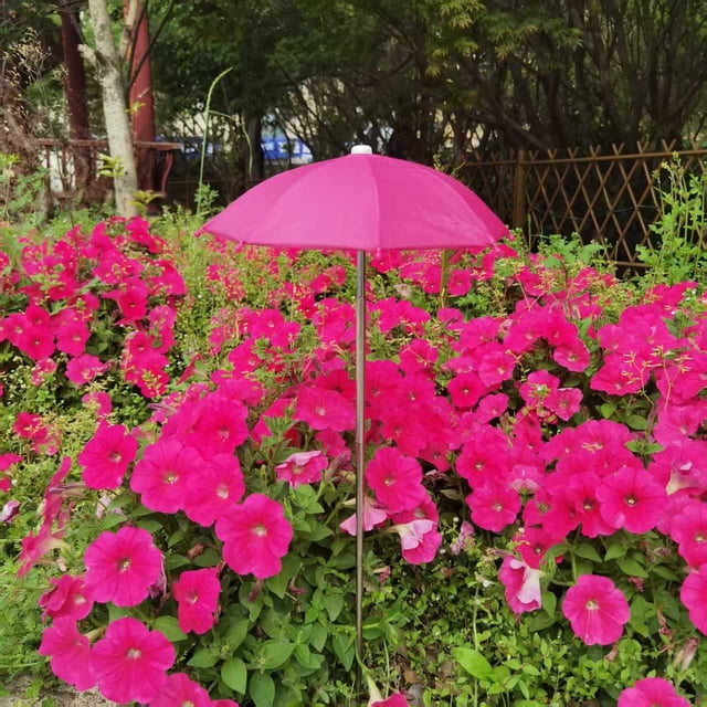 Parasol Extérieur pour Terrasse Parasol pour Plantes Parasol de Jardin Installation Pratique Pratique Parasol Multifonction pour Plantes Pare-Soleil Extérieur Intérieur Cour Pare-Soleil