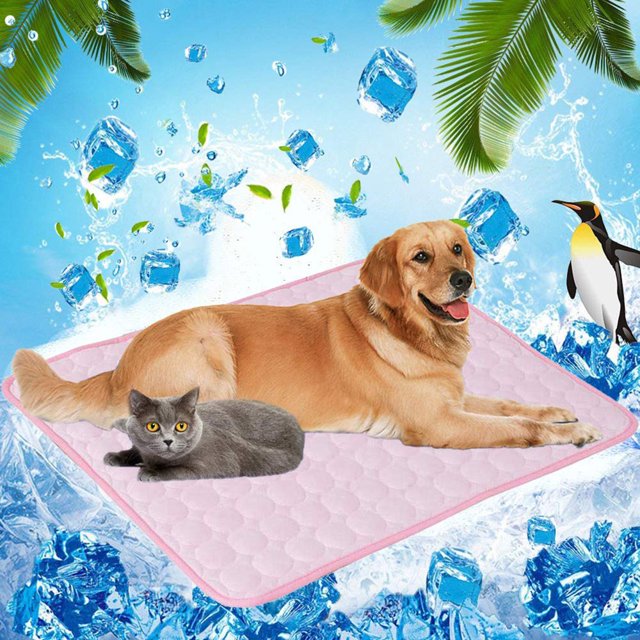 Coussin pour Animaux de Compagnie Portable Amovible Respirant pour Chien