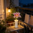 thumbnail image 4 of Lunxisen 2 Pcs Flower Pot Night Light Desk Lamp Home Decor Ambient Lighting Gift Idea, 4 of 8
