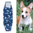 thumbnail image 3 of CBFFDC Leakproof Dog Diapers Male Dog Belly Band Diapers Fastener Adjustable High Absorbency Leakproof Comfortable Training Incontinence, 3 of 7