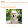 thumbnail image 4 of 1 Pce Imperméable Poncho Transparent Clair à Capuche pour Animaux en Plastique pour Chats et Chiens Vêtements, 4 of 5