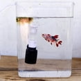 thumbnail image 1 of Filtre Pneumatique Silencieux Mini pour Eau pour Bol à Poissons Aquarium, 1 of 8