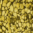 thumbnail image 1 of Ahgly Tapis d'Intérieur Lavable en Machine Carré Transitionnel Or Jaune Vif, 6 Pieds Carré, 1 of 7