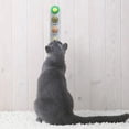 thumbnail image 5 of Hearth & Gear Licks Licks Kitty Lollipop Hi Hi Toy for Cats Catnipa Chatsworth Chatsworth Rack Chatsworth Products Chatsworth Book Chatsworth Rack Shelf Chatsworth Rack Screws Chatsworth Ladder Rack, 5 of 5
