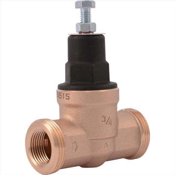 Cash Acme EB45 Pressure Regulating Valve, 3/4 Inch NPT Threaded, Poly Top, 45 PSI, 23881-0045