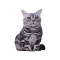 thumbnail image 1 of Shower Caps Outdoor Terrace Decorative Pillows,Funny Themed Soft And Comfortable Bedside Car Cushions (including Inner Core),Tropical Themed Beach,Pool Courtyard Swing/rec, 1 of 8