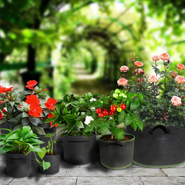 Grow Bag Plant Container Growing Case Household Accessories Workmanship Convenience Garden Tool Yard Fittings Extensive Roots 30*25