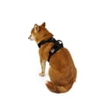 thumbnail image 1 of One Paw, Dog Harness with Bonded Mesh and Reflective Stitching, Multiple Sizes and Colour, 1 of 5