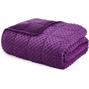 L'AGRATY Weighted Blanket for Adult - 60"x80" 22lbs Minky Dots Heavy Blanket with Glass Beads Soft Breathable for All-Season Summer Fall Winter Thick Comfort for Sleeping