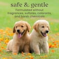 thumbnail image 4 of Burt's Bees Itch Soothing Shampoo with Honeysuckle for Dogs, 16oz, 4 of 6
