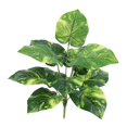 thumbnail image 1 of Faux Plants Garden Decoration Green Photo Props Home Decor, Greenery Decoration Style H, 1 of 9
