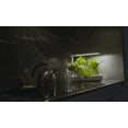 thumbnail image 3 of Vegehome Jardin Indoor Garden with Starter Kit, 3 of 6