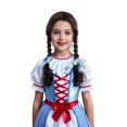 thumbnail image 4 of Halloween Dorothy Wig for Girls, Way to Celebrate, 4 of 4