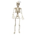 thumbnail image 1 of SLYNSHome Halloween Skeleton Decorations,Artifical Full Body Skeleton for Haunted House Props Decorations, 1 of 9
