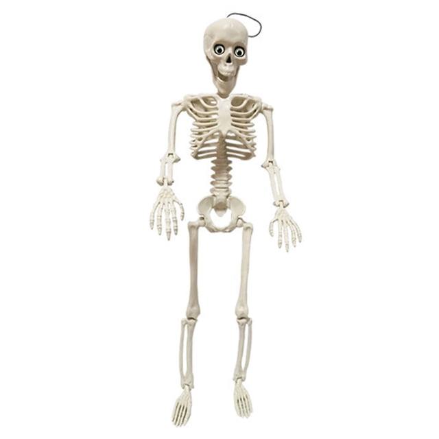 SLYNSHome Halloween Skeleton Decorations,Artifical Full Body Skeleton for Haunted House Props Decorations