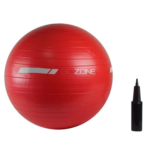 GoZone Exercise Ball