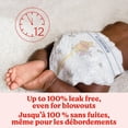 thumbnail image 2 of Huggies Little Snugglers Baby Diapers, Size NB-5, 2 of 9