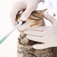 thumbnail image 3 of Hearth & Gear Small Dog Toothbrush Cat & Puppy Tooth Brushing Kit Soft & Mini Head For & Tiny Pet Doggy Toothbrushes Deep Teeth Cleaning Soft Dog Tough Pack Tough for Dogs That Chew Dog Pacifier Soft, 3 of 3