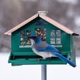 thumbnail image 3 of Perky-Pet 8 lb Squirrel-Be-Gone II Green Home Style Wild Bird Feeder, 3 of 9
