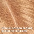 thumbnail image 3 of L'Oréal Paris Magic Root Permanent, Retouche Permanente des Racines, 3 of 7