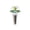 A, variante sur Capsules de Semences pour la Plantation de Laitue Romaine et Pommée, Trousse avec Couvre-Semis, Autocollants, Paniers de Plantation et Éponges de Culture