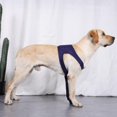 thumbnail image 4 of Special Buys! Restore Manchon pour Chien avec Protection avant-Jambe Anti-Léchage, 4 of 11