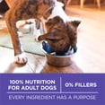 thumbnail image 2 of Purina ONE SmartBlend Healthy Aging 7+ Formula Chicken, Dry Dog Food 11.7kg, 2 of 9