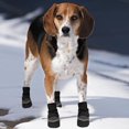 thumbnail image 4 of SPOT Extreme Bottes Toutes Saisons pour Chien Moyen, 4 of 7