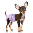 thumbnail image 1 of Flying Paws Couches Jetables pour Chien Chiot avec Taille Élastique Ajustable pour Chien Ou Chat Incontinence Thermique Indicateur d'Humidité TP-40, 1 of 4