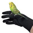 thumbnail image 4 of Anti-Bite Gloves Bird Parrots Training Animal Handling Gloves Protective Gloves, 4 of 5