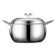 thumbnail image 1 of GROWTH TANK Stainless Steel Cookware Soup Pot with Lid for Stew Household Soup, 1 of 9