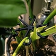 thumbnail image 4 of Product Category Fixing Clip 1 Indoor Support System for Reusable Stabilizers and Climbing Holders for Home Use, 4 of 5