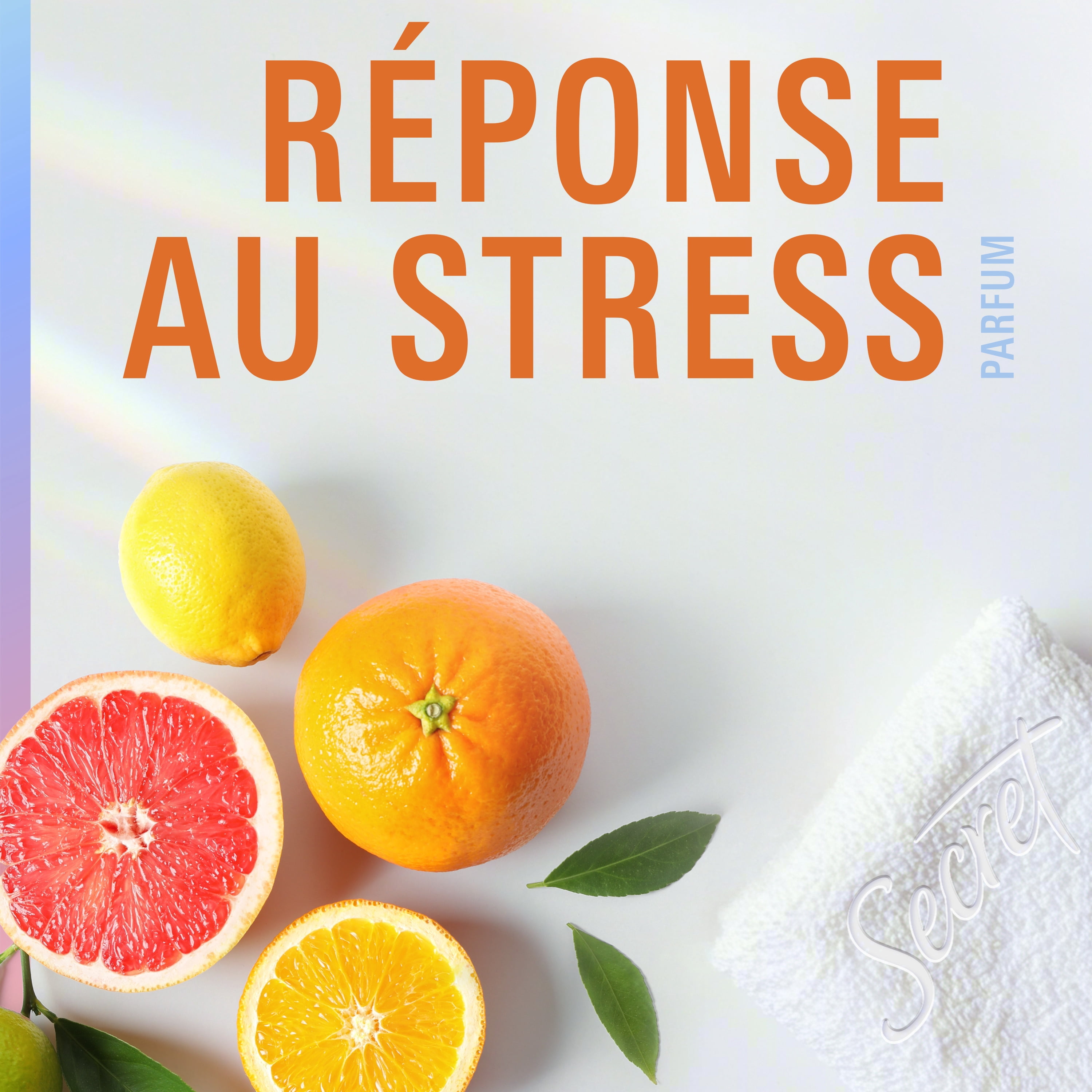 Antisudorifique et Désodorisant Invisible enBâton Secret Thérapeutique Pour Femmes, Réaction Au Stress, 45 g
