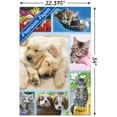 thumbnail image 2 of Keith Kimberlin - Collage de chiots et de chatons, 2 of 4